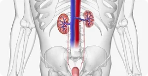 Pagina Principal1 11 Especialista em tratamento de câncer de rim - Dr. Rodolfo Garcia Borges